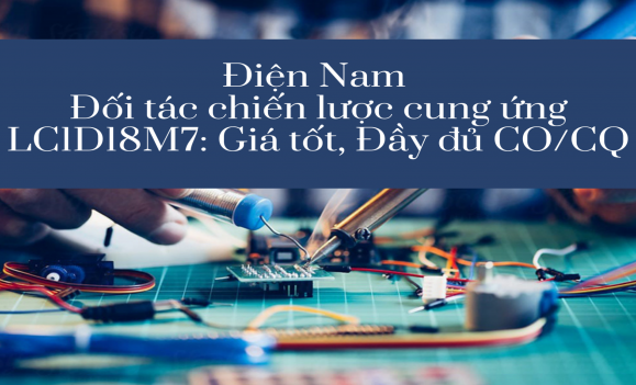 Điện Nam – Đối tác chiến lược cung ứng LC1D18M7: Giá tốt, Đầy đủ CO/CQ